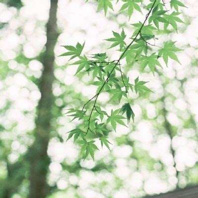篮坛第一女神曾与王治郅传过绯闻 年近40岁仍没嫁人